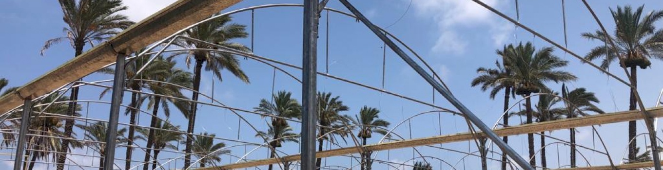 Tasdeer is supporting Gaza farmers in reconstructing 19 donums of damaged greenhouses