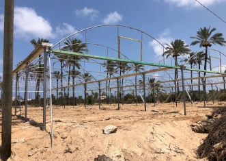 Tasdeer is supporting Gaza farmers in reconstructing 19 donums of damaged greenhouses