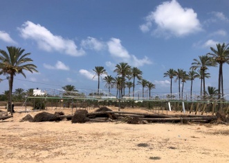Tasdeer is supporting Gaza farmers in reconstructing 19 donums of damaged greenhouses