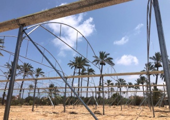 Tasdeer is supporting Gaza farmers in reconstructing 19 donums of damaged greenhouses