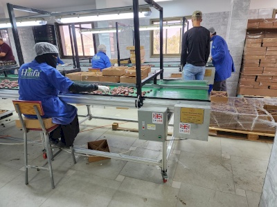 Export Growth Grants - Closed