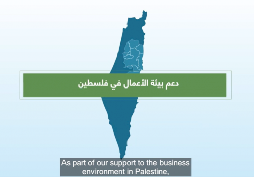 Video: Tasdeer&rsquo;s Interventions with the Private Sector 