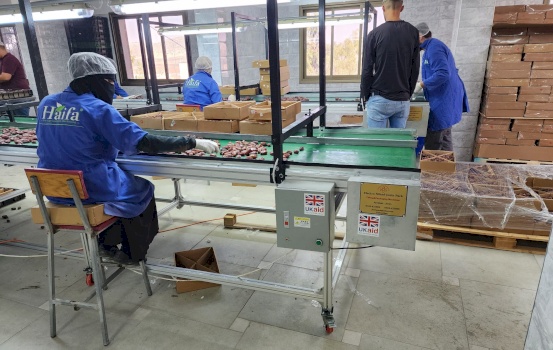 Support to improve the private sector&rsquo;s skills and innovation to export and create jobs