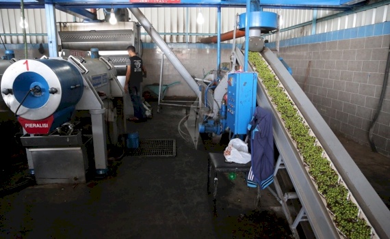 Support PSI International Recognition & Accreditation