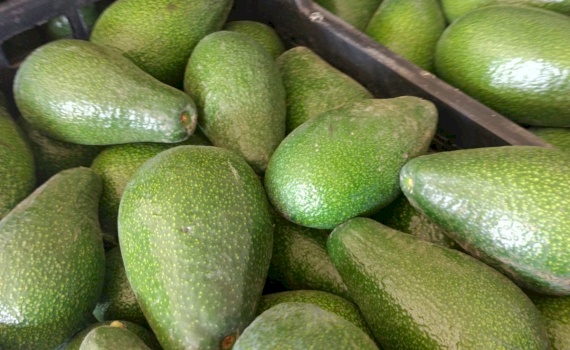 Support active exporters to achieve higher export competitiveness, respond to Covid-19 market changes, increase local linkages and expand exports and create more jobs