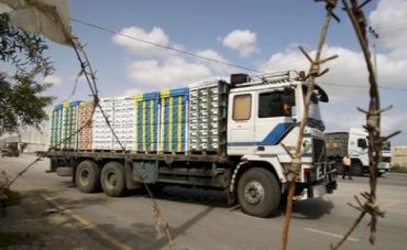 Supporting the Direct Transfer of Goods through King Hussein Bridge (KHB)