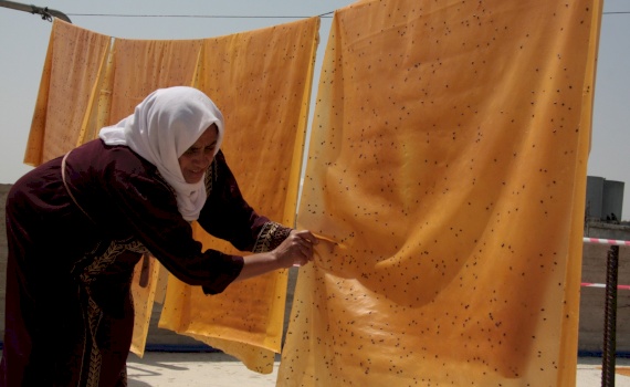 Support active exporters to achieve higher export competitiveness, respond to Covid-19 market changes, increase local linkages and expand exports and create more jobs