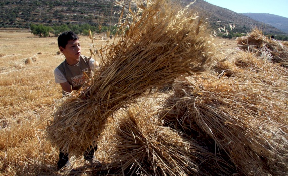 Support active exporters to achieve higher export competitiveness, respond to Covid-19 market changes, increase local linkages and expand exports and create more jobs