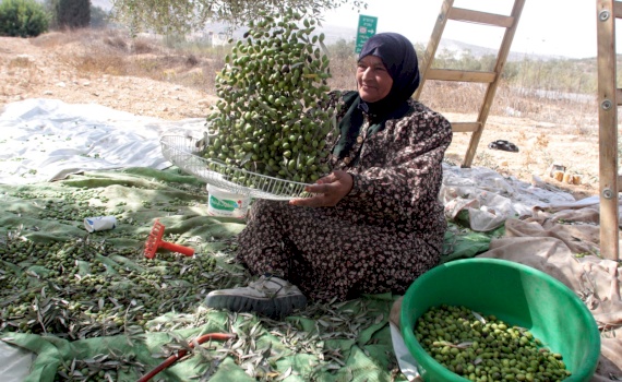 Support active exporters to achieve higher export competitiveness, respond to Covid-19 market changes, increase local linkages and expand exports and create more jobs