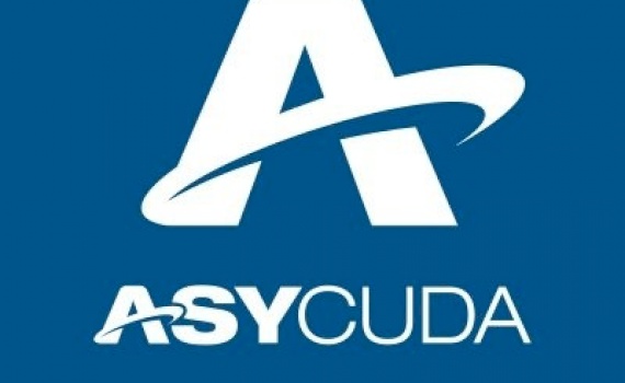 Support to ASYCUDA (Customs Declaration system) and automation within Customs