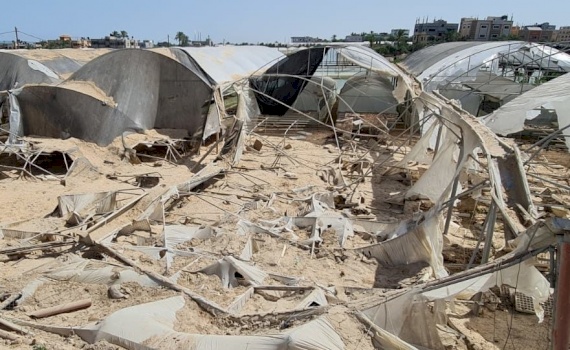 Support Gaza Agricultural Producers to Recover