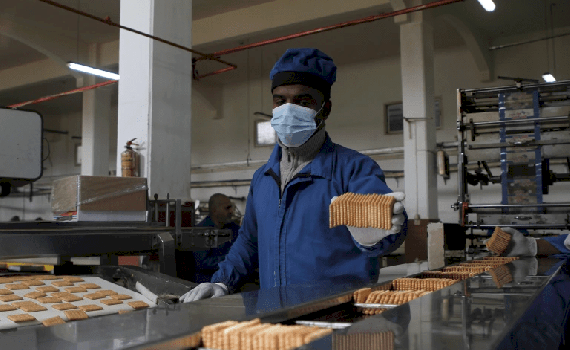 Strengthen Domestic Production in Gaza 